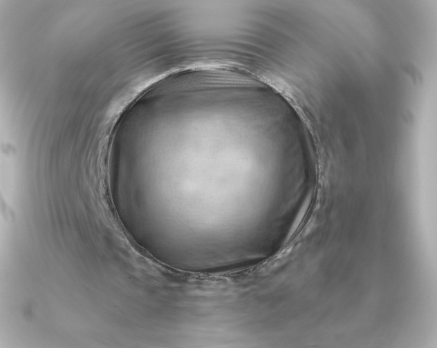 X0000090890337200708101406