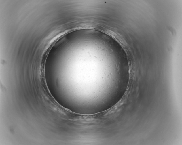 X0000090890338200708101406