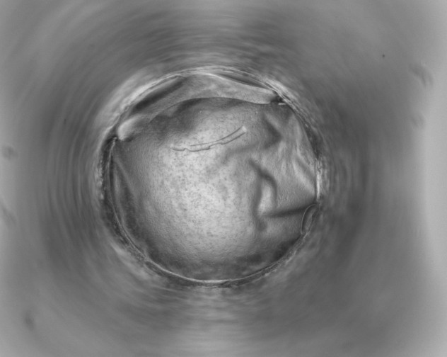 X0000090890339200708101406