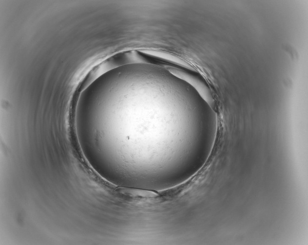 X0000090890340200708101406