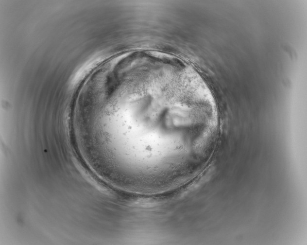 X0000090890341200708101406