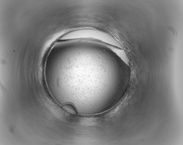 X0000090890342200708101406