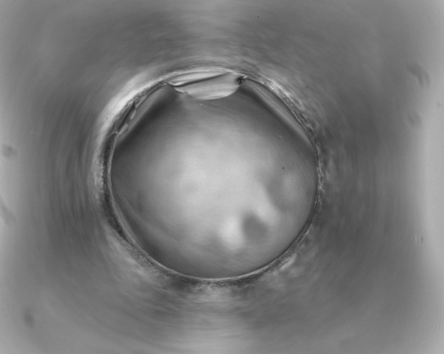 X0000090890343200708101406