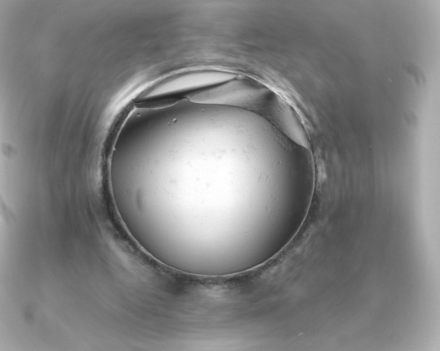 X0000090890344200708101406