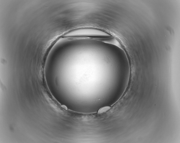 X0000090890345200708101406