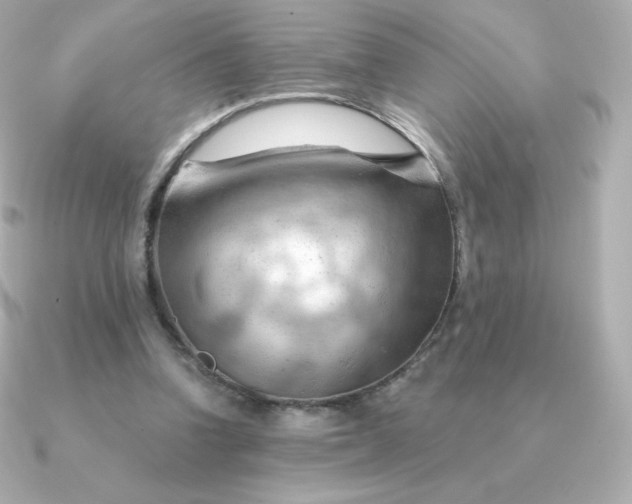 X0000090890346200708101406