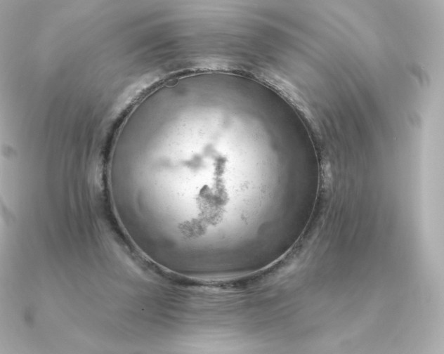 X0000090890347200708101406