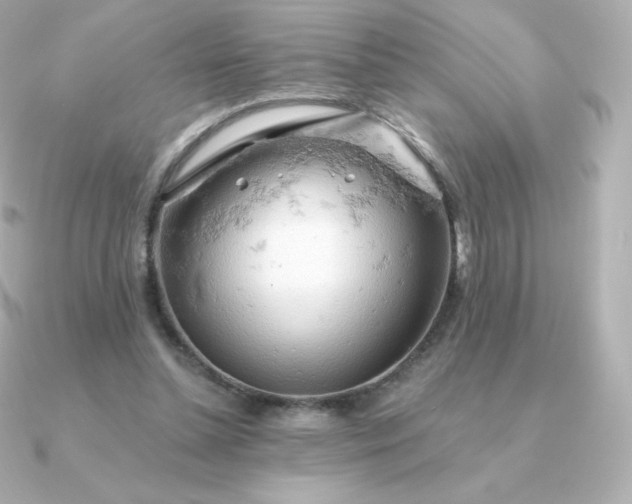 X0000090890348200708101406