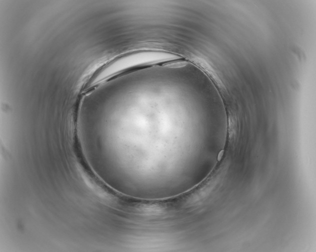 X0000090890349200708101406