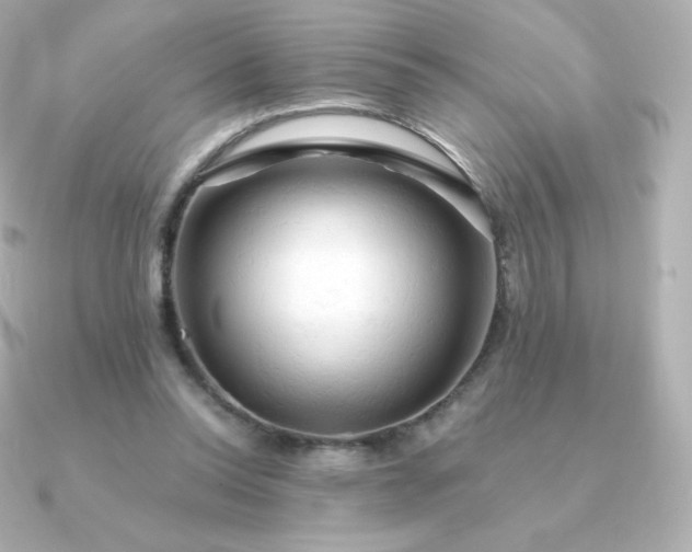 X0000090890350200708101406