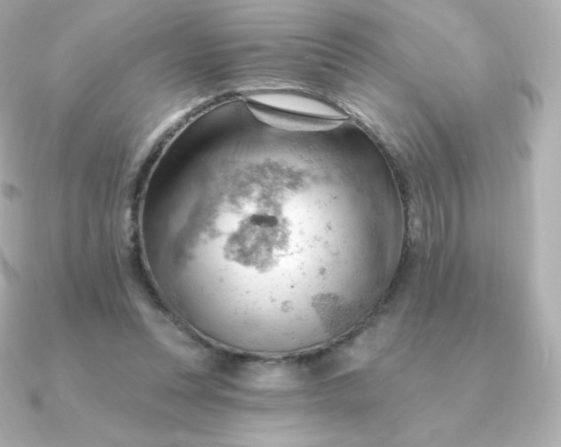 X0000090890351200708101406