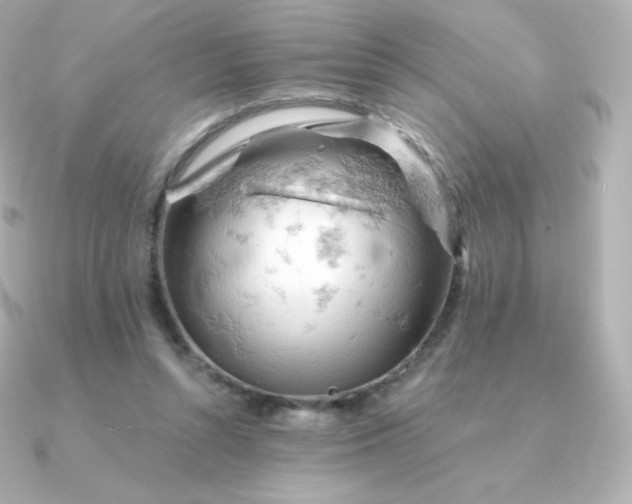 X0000090890352200708101406