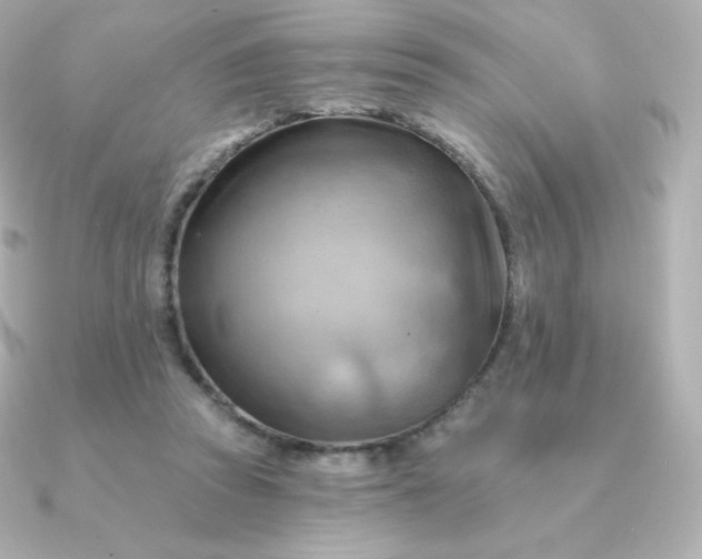 X0000090890353200708101406