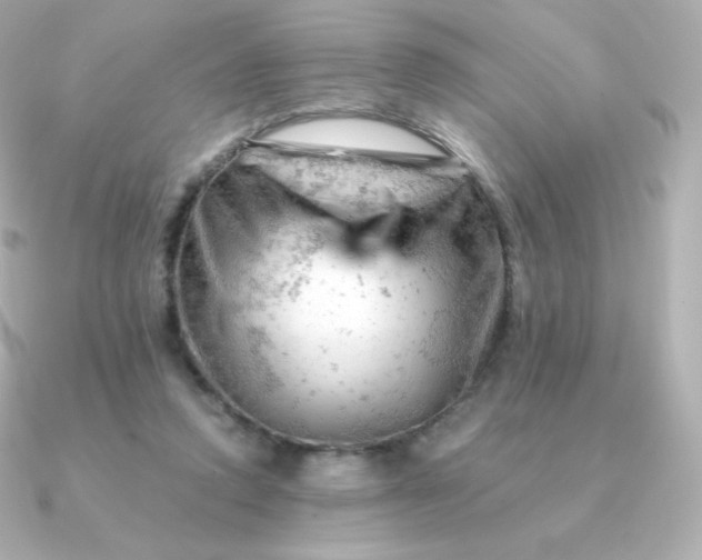 X0000090890354200708101406