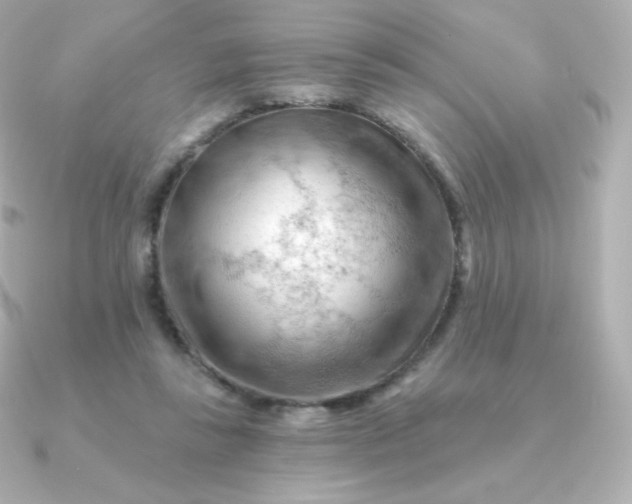 X0000090890355200708101406