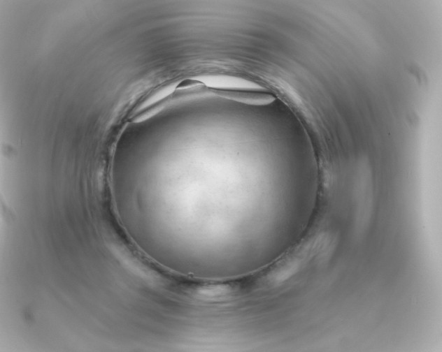 X0000090890357200708101406