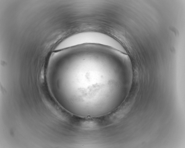 X0000090890358200708101406