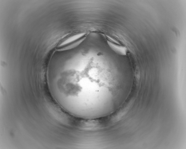 X0000090890359200708101406