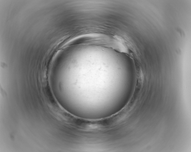 X0000090890360200708101406