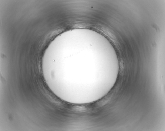 X0000090890361200708101406