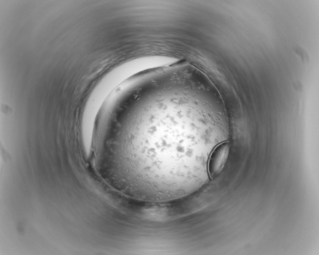 X0000090890362200708101406