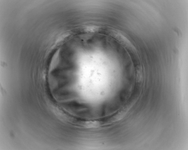 X0000090890363200708101406