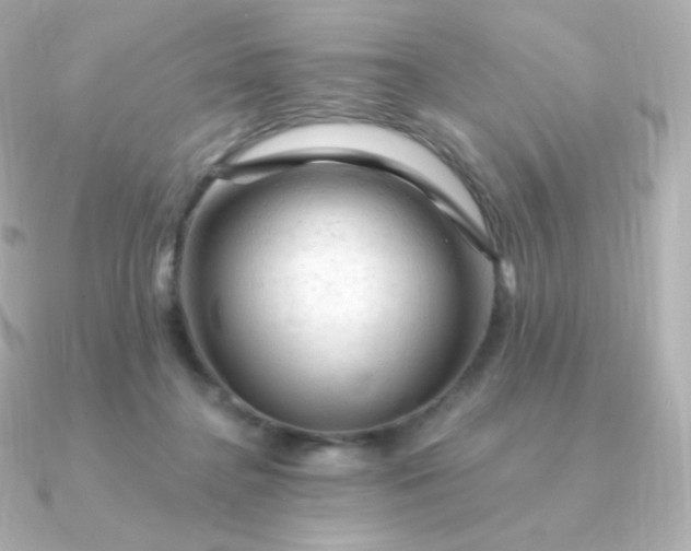 X0000090890364200708101406