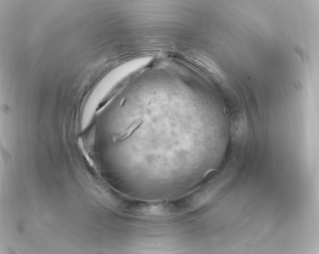 X0000090890365200708101406