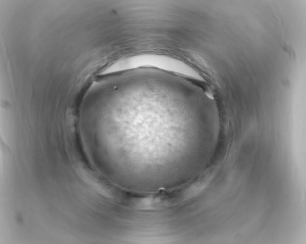 X0000090890366200708101406