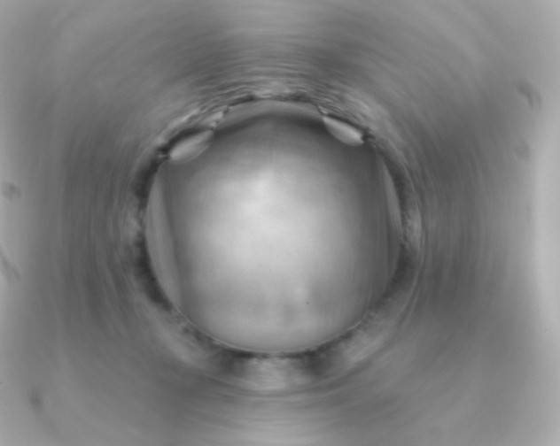 X0000090890367200708101406