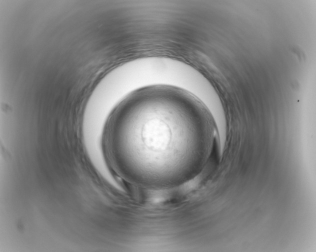 X0000090890368200708101406