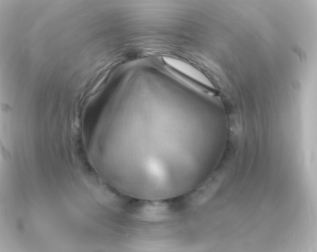 X0000090890369200708101406