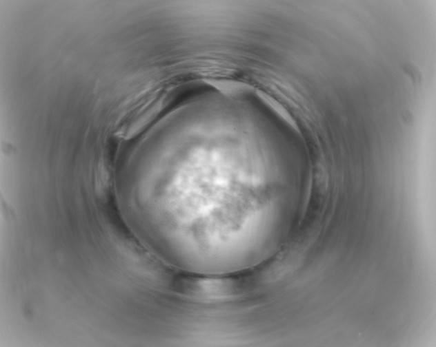 X0000090890371200708101406