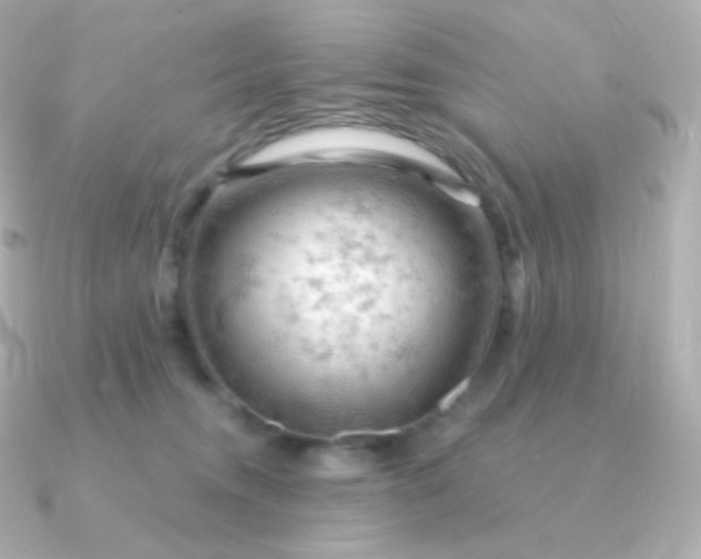 X0000090890372200708101406