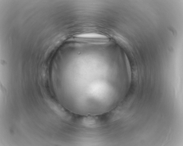 X0000090890373200708101406