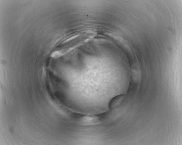 X0000090890375200708101406