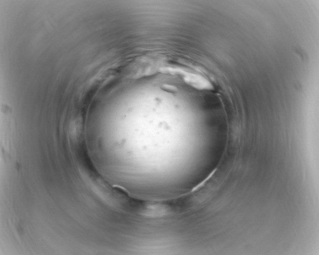 X0000090890376200708101406