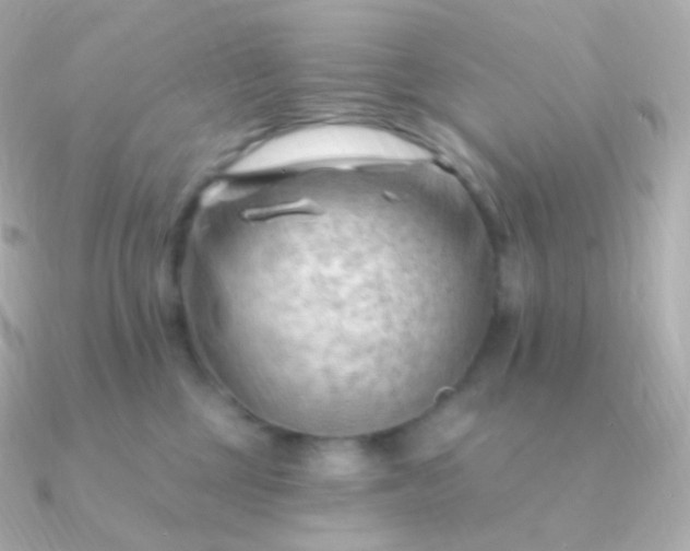 X0000090890377200708101406