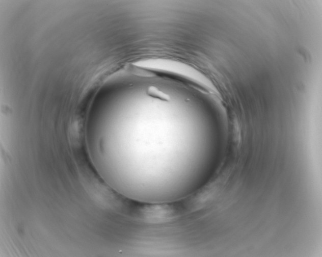 X0000090890378200708101407