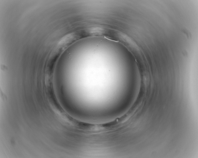 X0000090890379200708101407