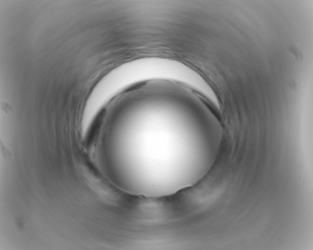 X0000090890380200708101407