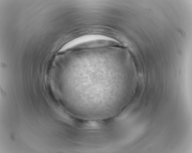 X0000090890381200708101407