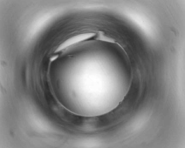 X0000090890382200708101407