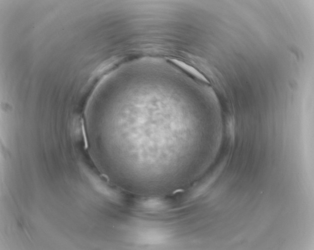 X0000090890383200708101407