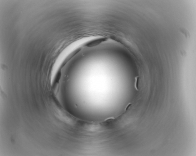 X0000090890384200708101407