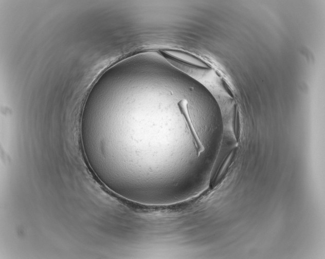 X0000090890385200708101406