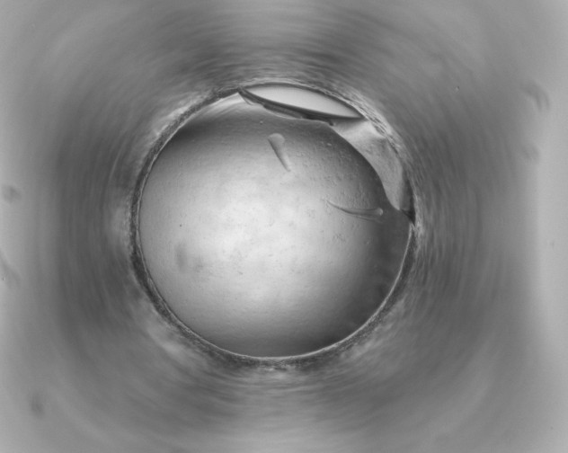 X0000090890386200708101406