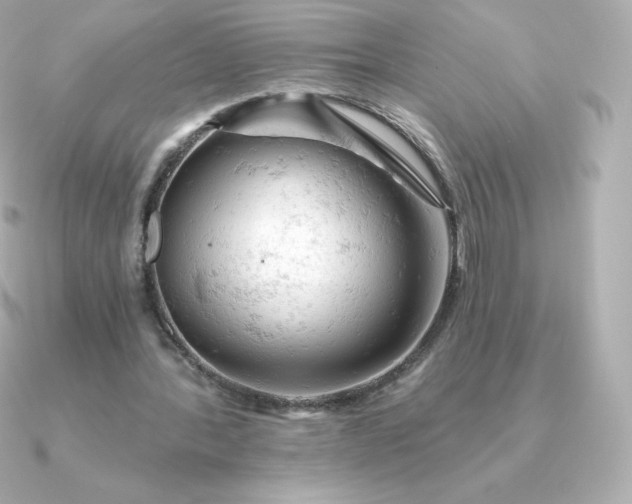 X0000090890388200708101406