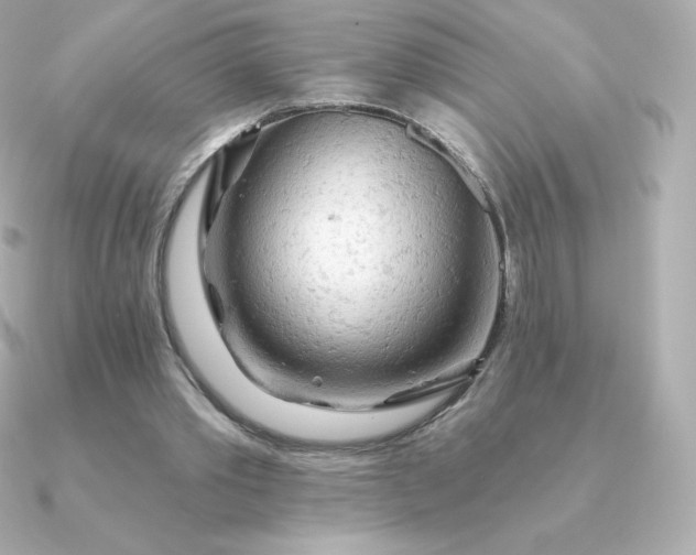 X0000090890389200708101406