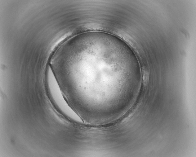 X0000090890390200708101406